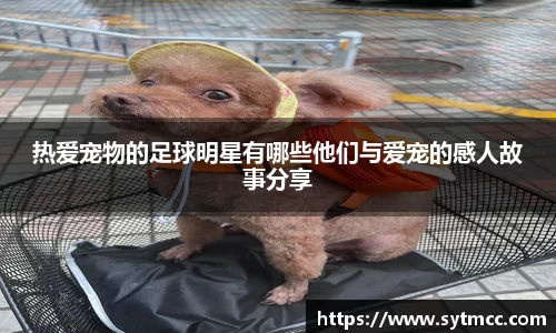 热爱宠物的足球明星有哪些他们与爱宠的感人故事分享